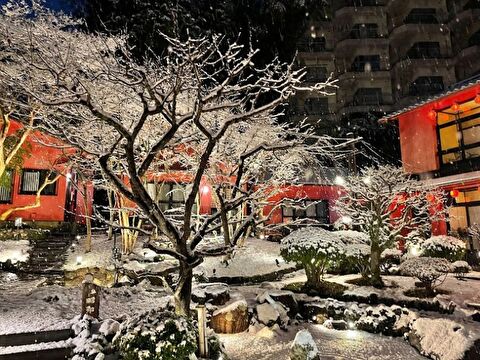 雪が積もった日本庭園